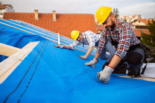 Quick and Trustworthy Emergency Roof Repair Services in Plainview, TN